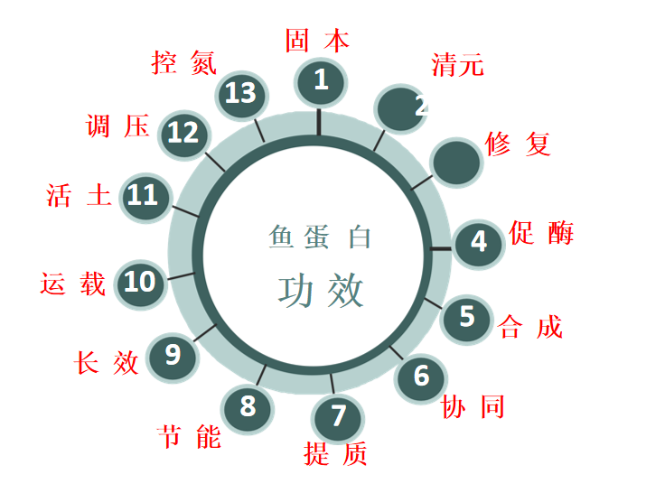 特種肥料,拉姆拉,水溶肥,魚(yú)蛋白