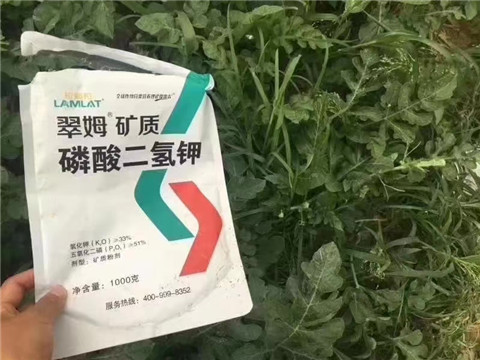 磷酸二氫鉀，硼肥，沖施肥